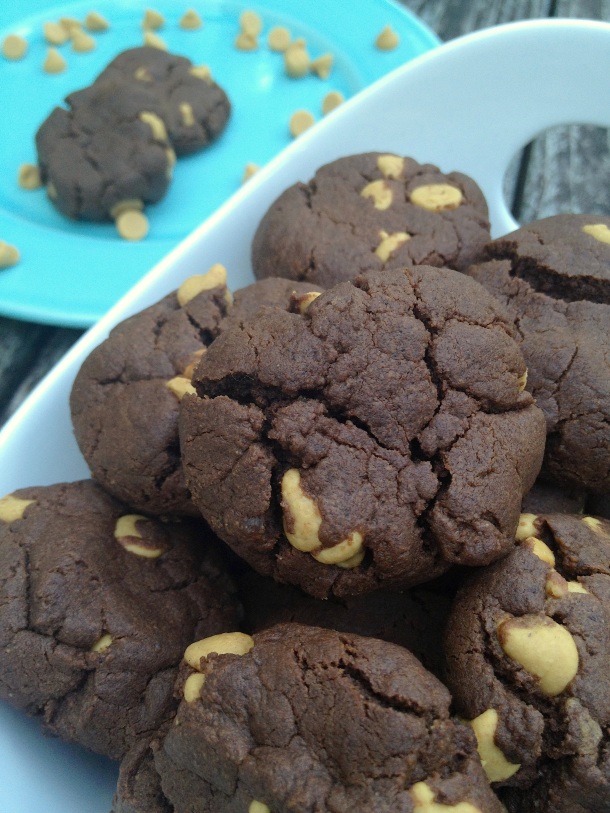 Flourless-Chocolate-Peanut-Butter-Chip-Cookies-Front