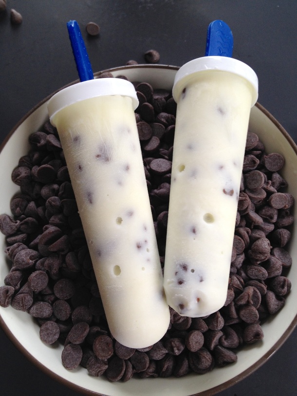Vanilla-Chocolate-Chip-Yogurt-Pops-Tall
